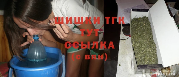 прущие грибы Верея