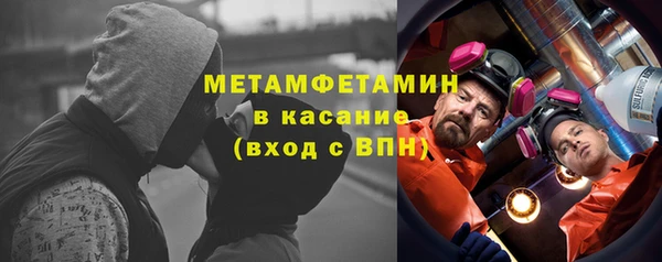 прущие грибы Верея