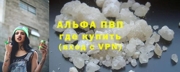 прущие грибы Верея
