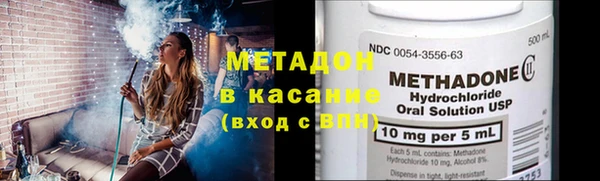 прущие грибы Верея
