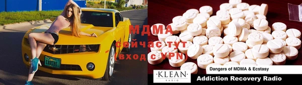 прущие грибы Верея