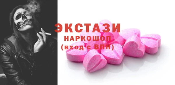 крисы Бородино