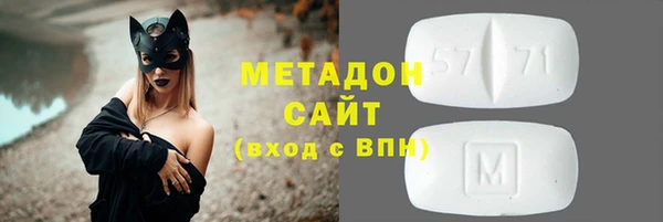 прущие грибы Верея