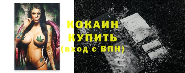 прущие грибы Верея