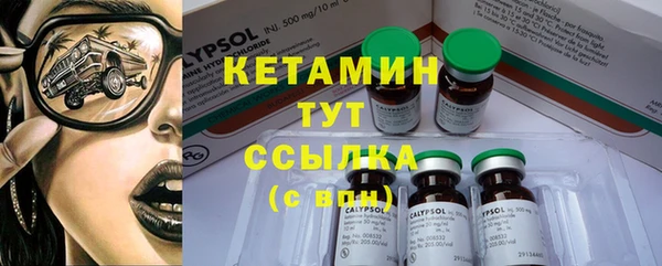 крисы Бородино